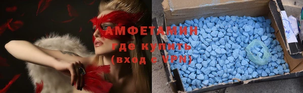 мдпв Осташков