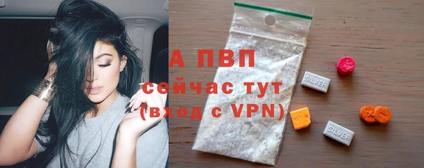 мдпв Осташков