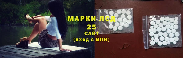 мдпв Осташков