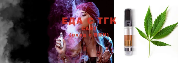 мдпв Осташков