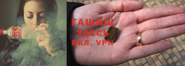 индика Санкт-Петербург