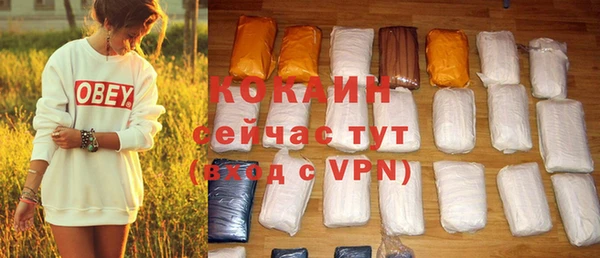 мдпв Осташков