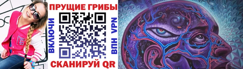 купить закладку Руза Галлюциногенные грибы прущие грибы
