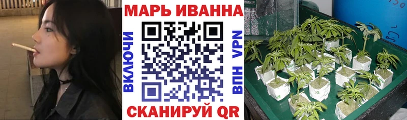 Бошки Шишки планчик  Руза 